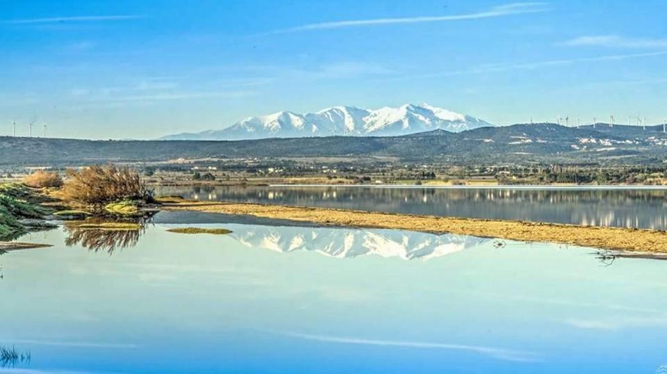 Studio Nefs Des Sables Leucate Luaran gambar