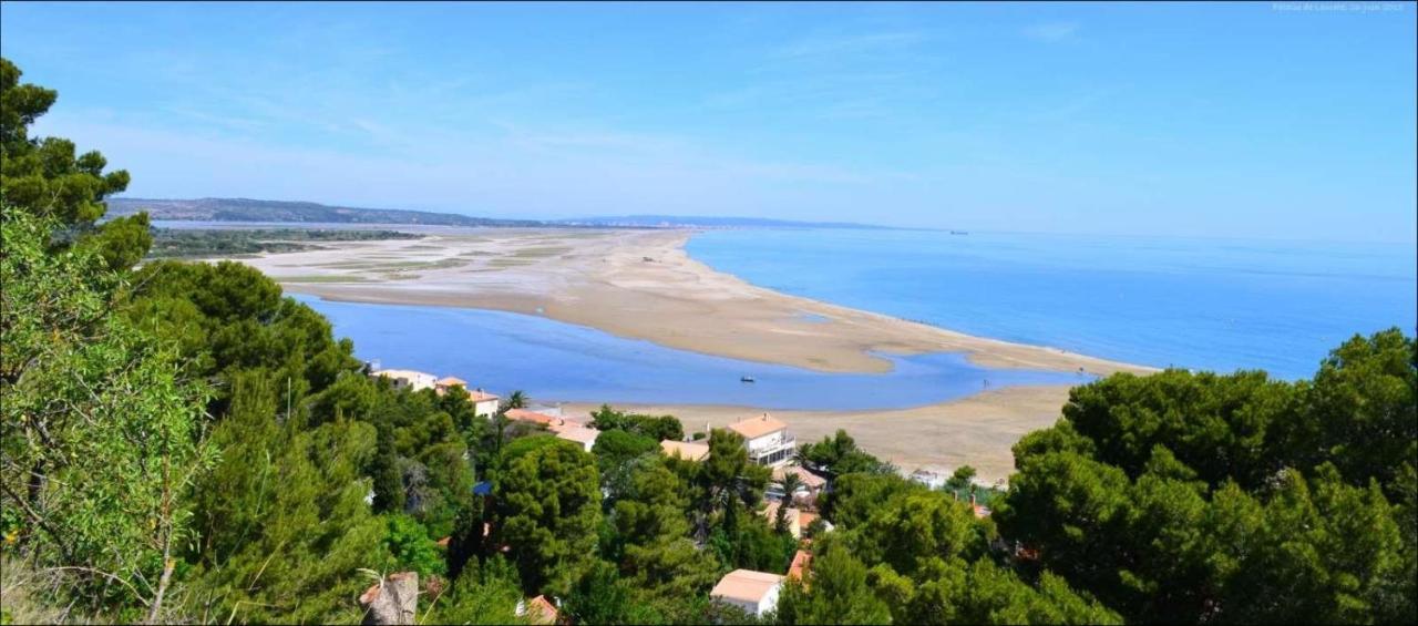 Studio Nefs Des Sables Leucate Luaran gambar