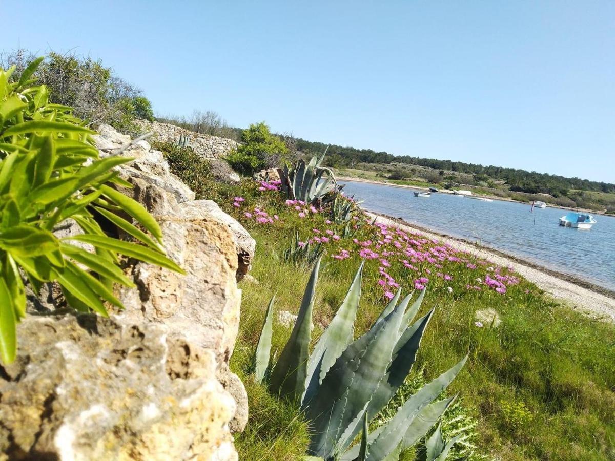 Studio Nefs Des Sables Leucate Luaran gambar