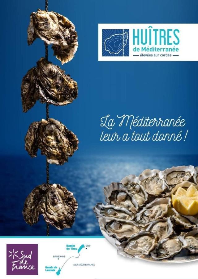 Studio Nefs Des Sables Leucate Luaran gambar